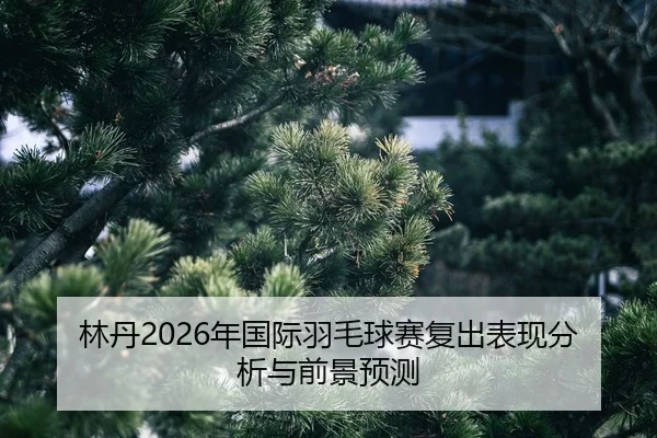 lin-dan-nian-guo-ji-yu-mao-qiu-sai-fu-chu-biao-xian-fen-xi-yu-qian-jing-yu-ce-2-974.jpg